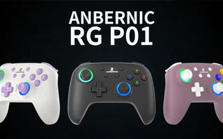 🎮初公開：ANBERNICの初のコントローラー - RG P01