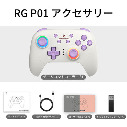 ANBERNIC RG P01