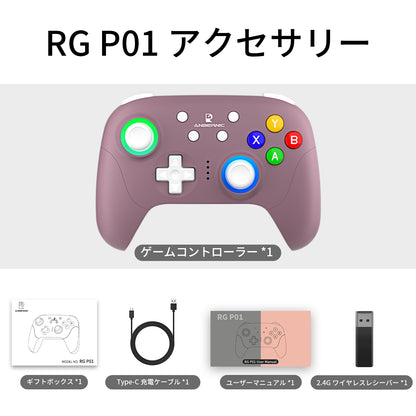 ANBERNIC RG P01