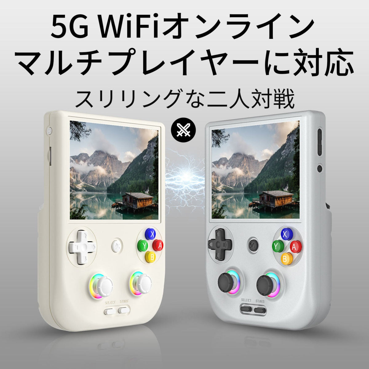 RG 406Vを2台使ったWi-Fiマルチプレイのイメージ